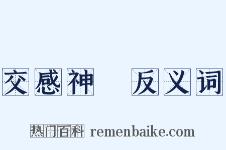 交感神經反义词是什么意思的图片